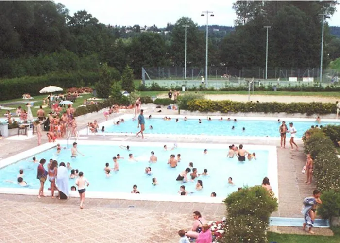 Haute-loire Belle Maison Neuve Plain-pied 4 Etoiles Avec Parc Arbore Clos Villa Tence